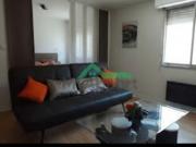 Location Appartement 1 pièce 35 m2 Albi
