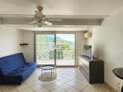 Location Appartement 1 pièce 35 m2 Saint Martin