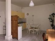 Location appartement 1 pièce 36m² à Tours 37000