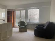 Location Appartement 1 pièce 39 m2 Paris 15ème