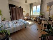 Location Appartement 1 pièce 40 m2 Grenoble