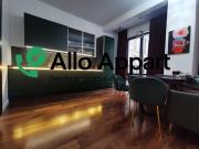 Location Appartement 1 pièce 42 m2 Lyon 1er