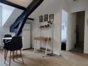 Location Appartement 2 pièces 20.86 m2 Saint Etienne