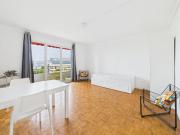 Location Appartement 1 pièce 20 m2 Strasbourg