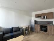 Location Appartement 2 pièces 29.29 m2 Saint Etienne