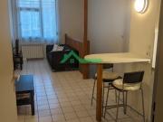 Location Appartement 2 pièces 33 m2 Lyon 6ème