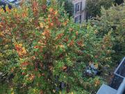 Location Appartement 2 pièces 33 m2 Neuilly sur Seine
