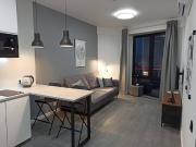 Location Appartement 2 pièces 36 m2 Lyon 7ème