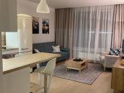 Location Appartement 2 pièces 36 m2 Lyon 7ème