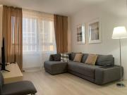 Location Appartement 2 pièces 37 m2 Lyon 7ème