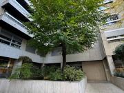 Location Appartement 1 pièce 37 m2 Paris 6ème