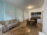 Location Appartement 2 pièces 38.95 m2 Saint Etienne