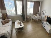 Location Appartement 2 pièces 40 m2 Lyon 7ème