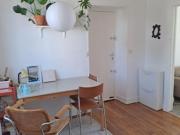 Location Appartement 2 pièces 41 m2 Avon