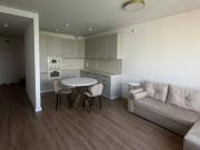 Location Appartement 2 pièces 46 m2 Lyon 1er