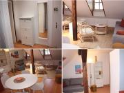 Location Appartement 2 pièces 47 m2 Strasbourg