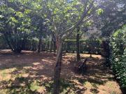 Location Appartement 2 pièces 55 m2 Lyon 8ème