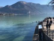 Location Appartement 2 pièces 61 m2 Annecy