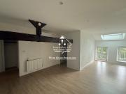 Location Appartement 2 pièces Aixe sur Vienne 87700