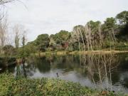 Location Appartement 3 pièces 51.24 m2 Six Fours les Plages