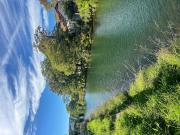 Location Appartement 3 pièces 55 m2 Dijon