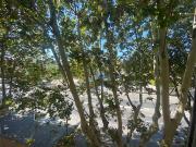 Location Appartement 3 pièces 57.82 m2 La Seyne sur Mer