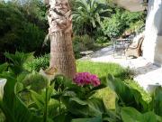 Location Appartement 3 pièces 57 m2 Antibes