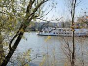 Location Appartement 3 pièces 70 m2 Alfortville