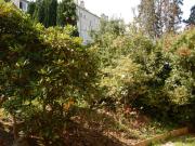 Location appartement 3 pièces Douarnenez 29