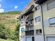 Location: appartement 3 pièces en rez de chaussée à THANN