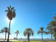 location appartement