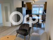 Location Appartement 4 pièces 115 m2 Saint die des vosges
