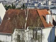 Location Appartement 58 m2 Chatou