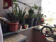 Location appartement 65 m² à Fès