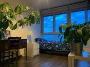 Location Appartement 7 pièces 108 m2 Lyon 7ème