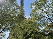 Location Appartement 8 pièces 355.19 m2 Paris 7ème