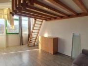 location appartement allonzier la caille 1 pièce 26 m2...