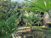 Location Appartement Avenue Foch, Paris