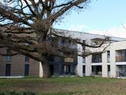 Location Appartement Chemin des Carmes, Toulouse