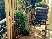Location Appartement Cours Victor Hugo, Bordeaux