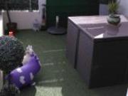 location appartement dijon 3 pièces 69 m2 cote d'or...