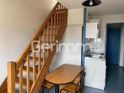 Location Appartement duplex 1 pièce 24,38 m² 550 €/mois