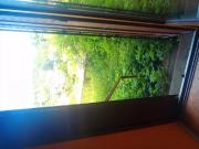 Location Appartement Grand Rue, Saint Bonnet le Château