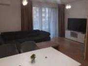 location appartement issy les moulineaux 2 pièces 46 m2...