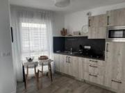 location appartement lille 2 pièces 51 m2 nord 59000 950...