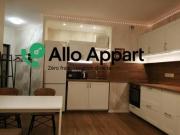 location appartement lyon 1er arrondissement 1 pièce 29...
