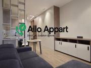 location appartement lyon 1er arrondissement 1 pièce 29...