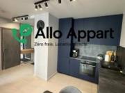 location appartement lyon 1er arrondissement 2 pièces 32...