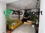 location appartement lyon 1er arrondissement 2 pièces 53...