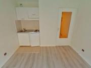 location appartement lyon 2eme arrondissement 1 pièce 21...